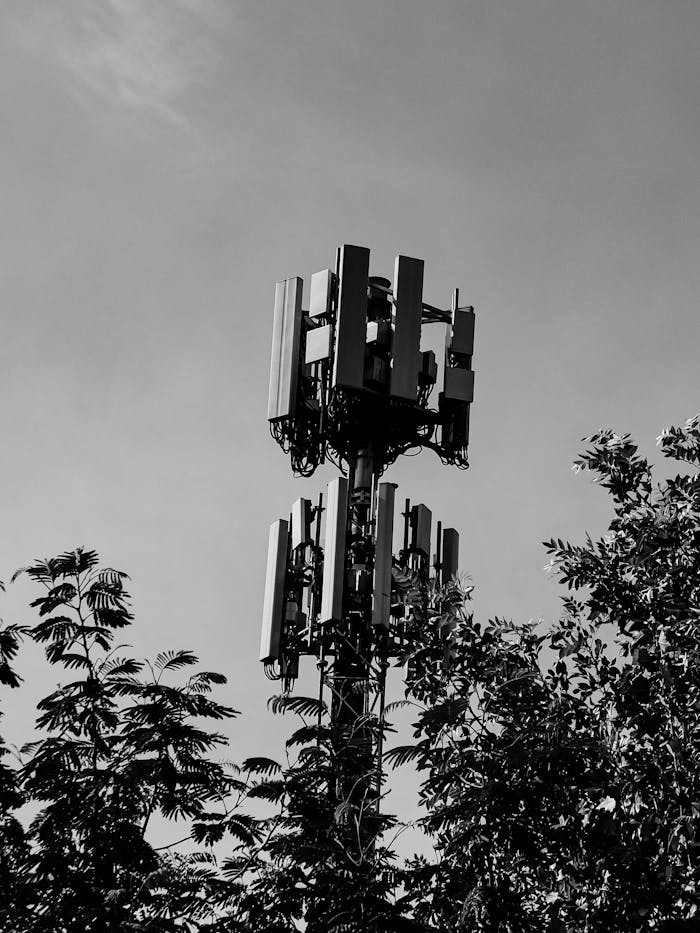Close-up of a telecommunication tower amidst trees in grayscale.